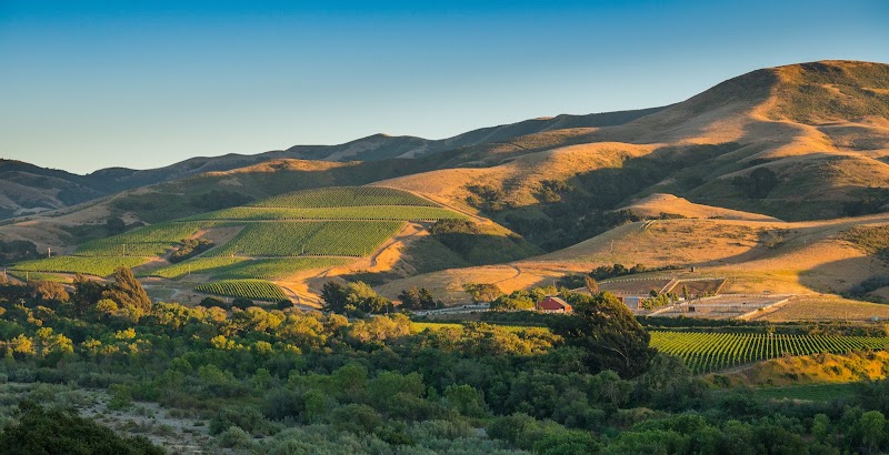 Donnachadh Family Wines
