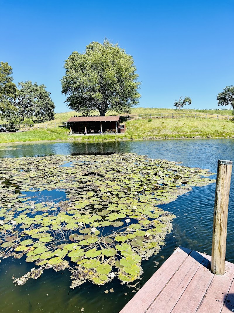 Dovecote Estate Winery
