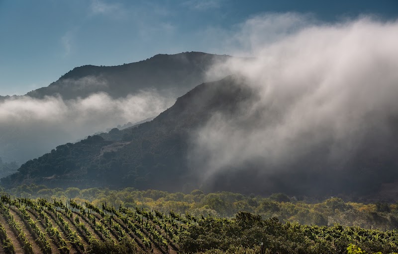 Pence Vineyards & Winery